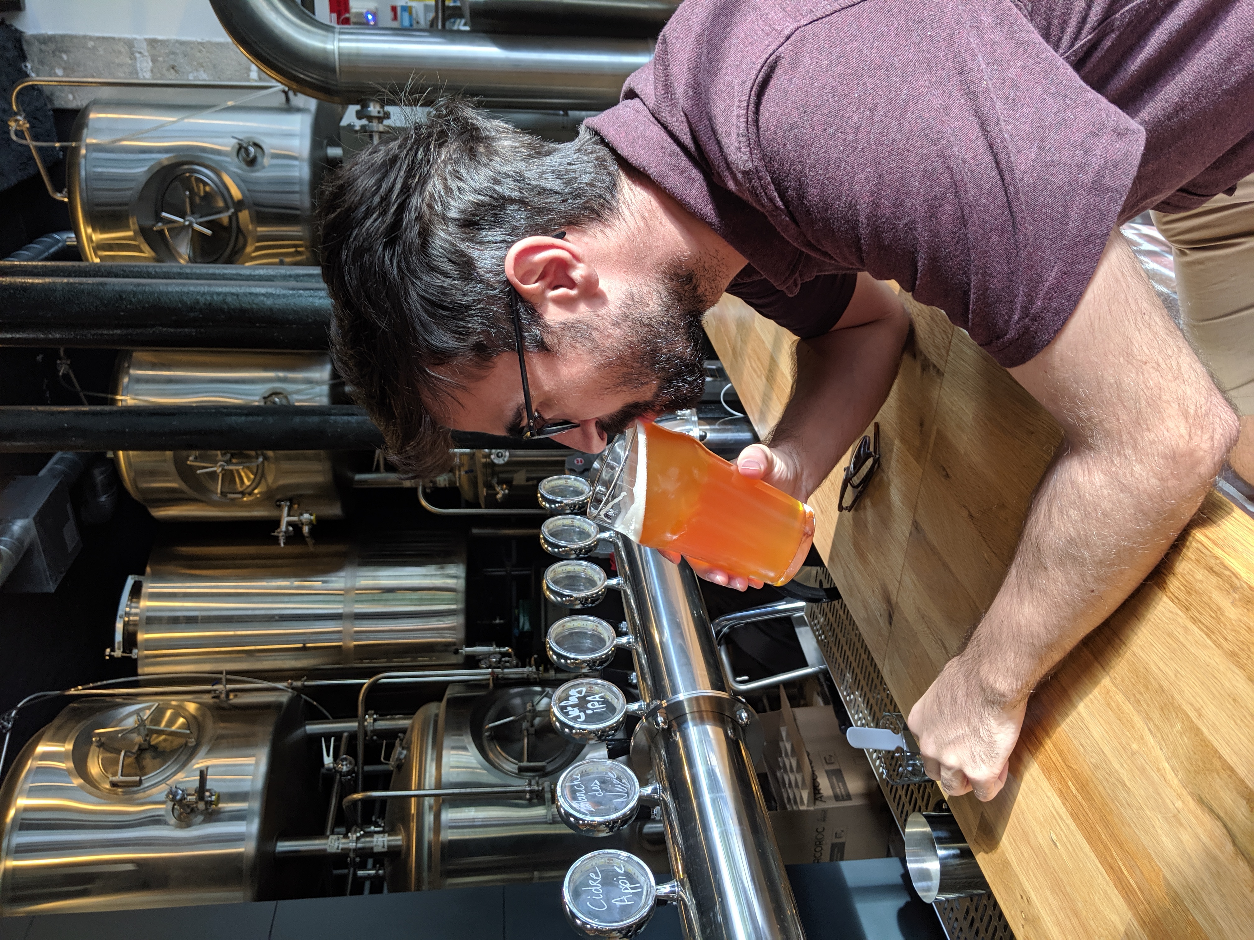 Dégustation au comptoir d'une brasserie avec cuves en inox